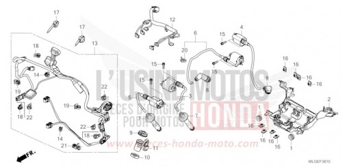 FAISCEAU SECONDAIRE/BOBINE D'ALLUMAGE CRF1100A2P de 2023